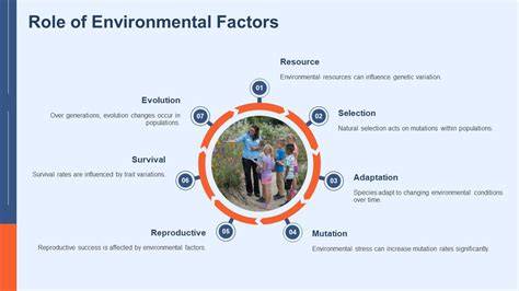 The role of environmental factors in the long-term evolution of the ... - raincitystudios.com