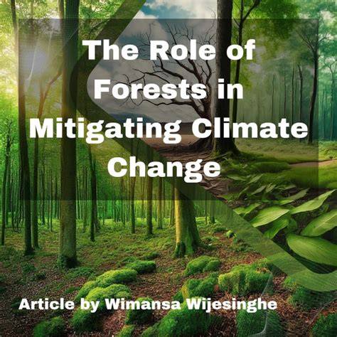 The Role of Forests in Mitigating Climate Change - raincitystudios.com