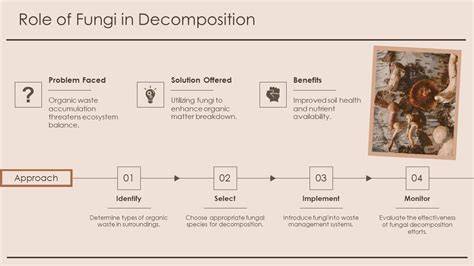 The Role of Fungi in Decomposition and Ecosystems - raincitystudios.com