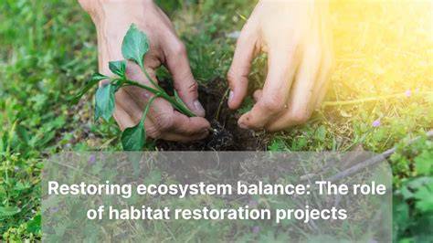 The Role of Herpetology in Habitat Restoration - raincitystudios.com