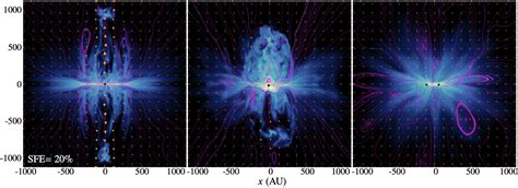 The role of magnetic field and stellar feedback in the evolution of ... - muktibox.com