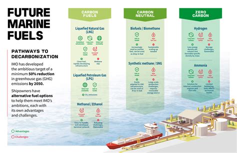 The role of maritime fuel projects in decarbonizing shipping - balustradellc
