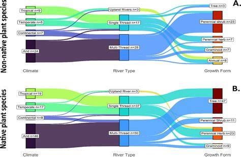 The Role of Non- Native Plant Species in Modulating Riverbank … - raincitystudios.com