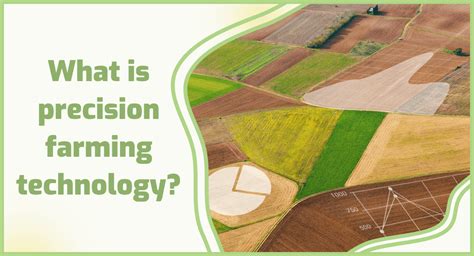 The Role of Precision Agriculture Technologies in … - balustradellc