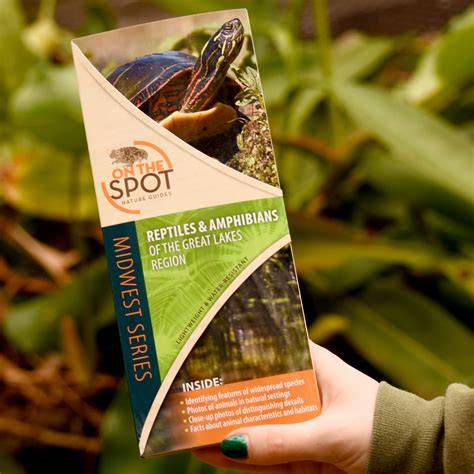 The Role of Reptiles and Amphibians in nature that impacts on ... - raincitystudios.com