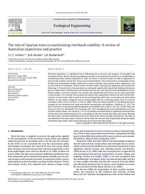 The role of riparian trees in maintaining riverbank stability: A review ... - raincitystudios.com
