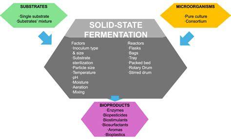 The role of solid-state fermentation to transform existing … - raincitystudios.com