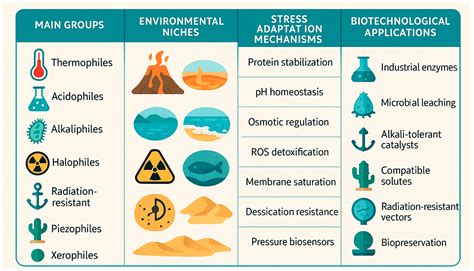 The Role of Symbiosis in the Adaptation of Extremophiles in Harsh ... - muktibox.com