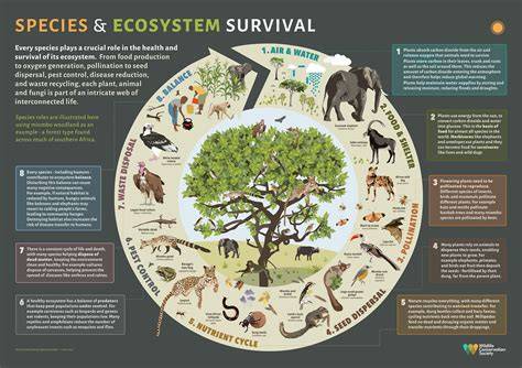 The Role of Terrestrial Mammals in Ecosystem Dynamics - raincitystudios.com