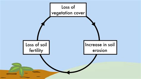 The Role of Vegetation in Confronting Erosion and Degradation of Soil ... - raincitystudios.com