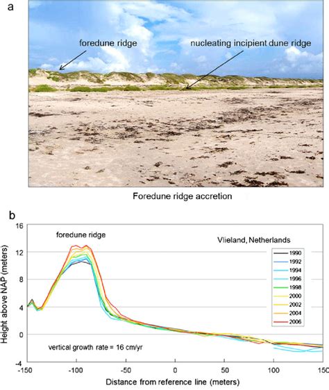 The Role of Vegetation in Incipient Dune and Foredune ... - JSTOR - wintechmobiles.com