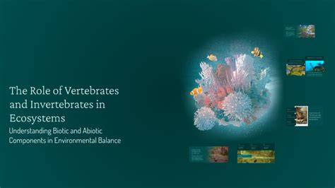 The Role of Vertebrates and Invertebrates in Ecosystems - raincitystudios.com
