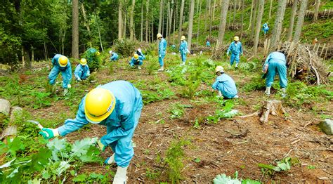 The role of villages in forest conservation programs - raincitystudios.com