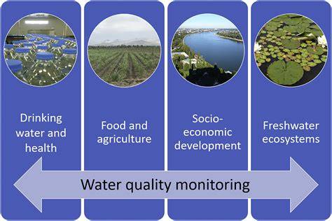 The role of water quality monitoring in the sustainable use of ambient ... - raincitystudios.com
