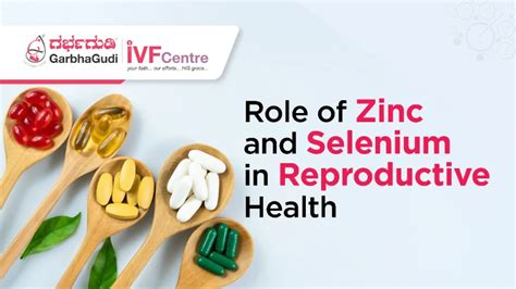 The Role of Zinc and Selenium in Enhancing Male Fertility - balustradellc