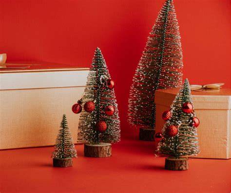 The Royal Christmas Trees: Timeless Moments of … - raincitystudios.com
