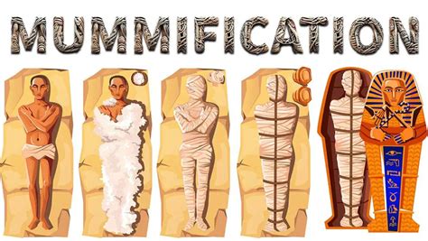 The Science And Art Of Mummification: How Did … - wintechmobiles.com