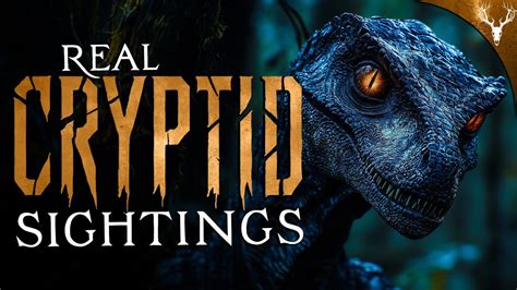 The Science Behind Cryptid Sightings - Science Friday - balustradellc