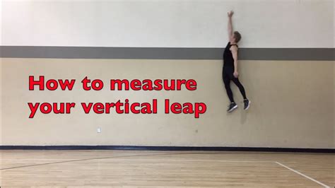 The Science Behind Your Vertical Leap - USA Basketball - balustradellc