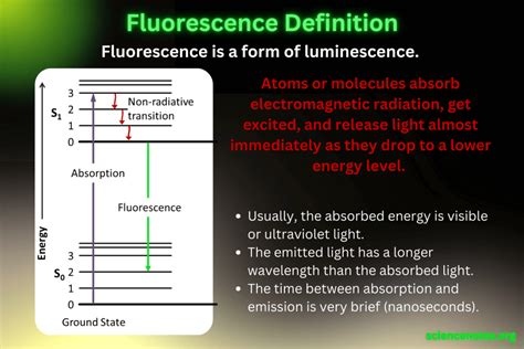 The Science of Fluorescence Photography - raincitystudios.com