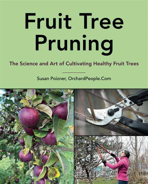 The Science of Pruning - Fine Gardening - raincitystudios.com