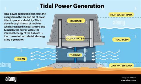 The Science of Tidal Power: A Comprehensive Guide - wintechmobiles.com