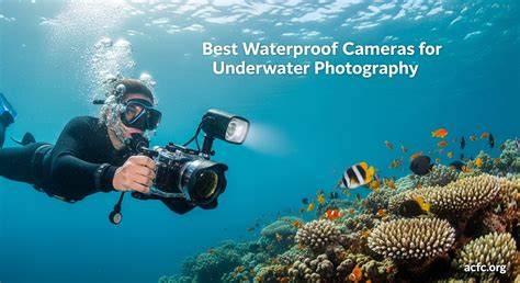 The Science of Underwater Photography - raincitystudios.com