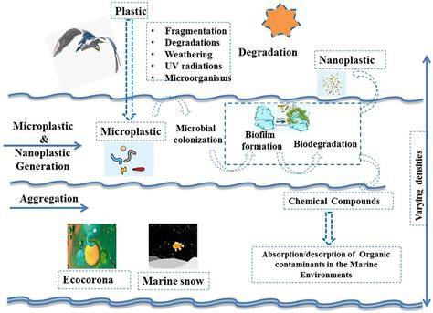 The scientific basis for addressing marine micro- and nanoplastic ... - raincitystudios.com