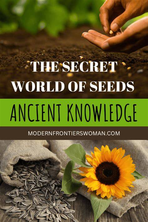 The Secret World of Seeds: Ancient Knowledge - Modern … - raincitystudios.com