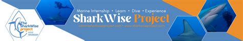 The SharkWise Project - Shark Research | Marine … - raincitystudios.com