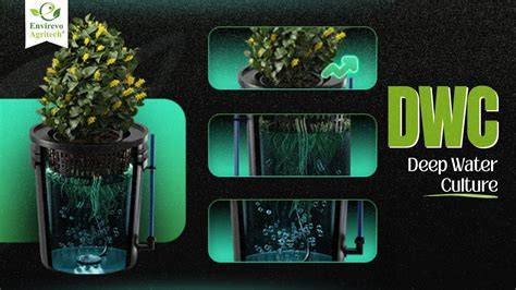 The Simplest Hydroponic System That Actually Works (DWC Guide) - raincitystudios.com