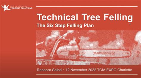 The Six-Step Felling Plan - raincitystudios.com
