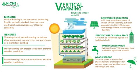 The Social and Economic Benefits of Vertical Farming - balustradellc