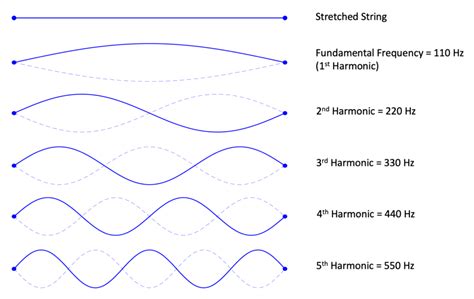 The Sound of Science: Frequencies of Musical Notes - balustradellc