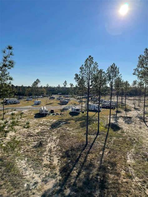 The Southern Pines - US Forest Service Research and Development - raincitystudios.com