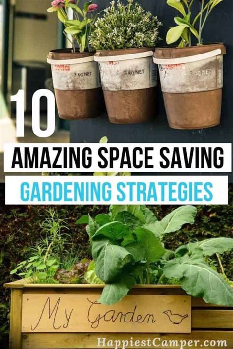 The Space-Saving Gardening Method Everyone Is Trying in 2026, Pro ... - balustradellc