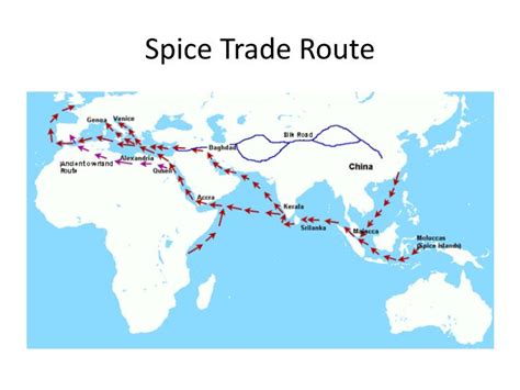 The Spice Trade Route - Moha - Research Center - wintechmobiles.com
