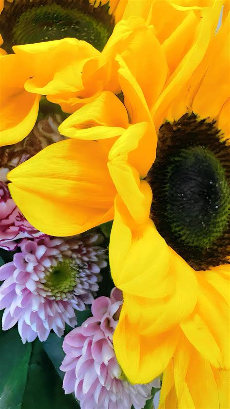 The STAR Method: How to Ace the Interview | Careers | U.S. News - balustradellc