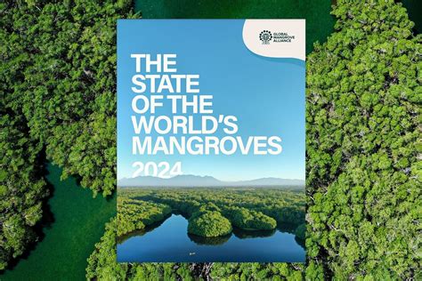 The State of the World's Mangroves - The Mangrove … - raincitystudios.com