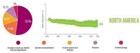 The Statistics of Biodiversity Loss [2020 WWF Report] - raincitystudios.com