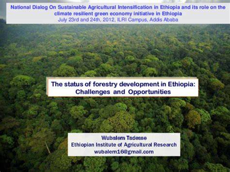 The Status of Forest Development in Ethiopia: Challenges and ... - raincitystudios.com