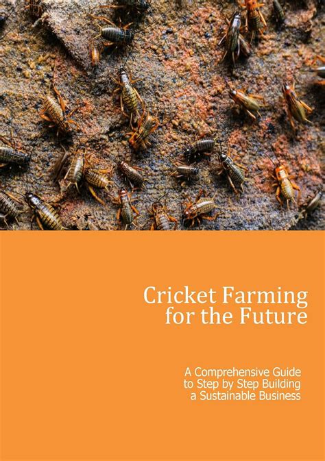 The Step-by-Step Guide to Farming Crickets - Näak NA - balustradellc