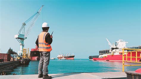 The Stevedore Shipping Role & Major Responsibilities - balustradellc