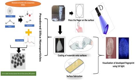 The study of fluorescent chemicals for fingerprint development - wintechmobiles.com