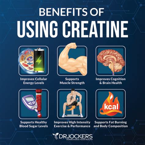 The Surprising Benefits of Creatine for Brain Health - Modern Age - balustradellc