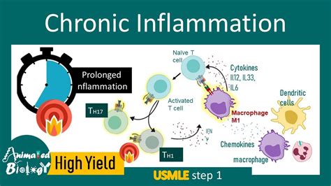 The Surprising Link Between Chronic Inflammation - balustradellc