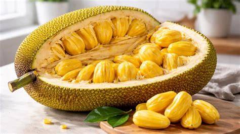 The sweet taste of success with jackfruit - The Hindu - raincitystudios.com