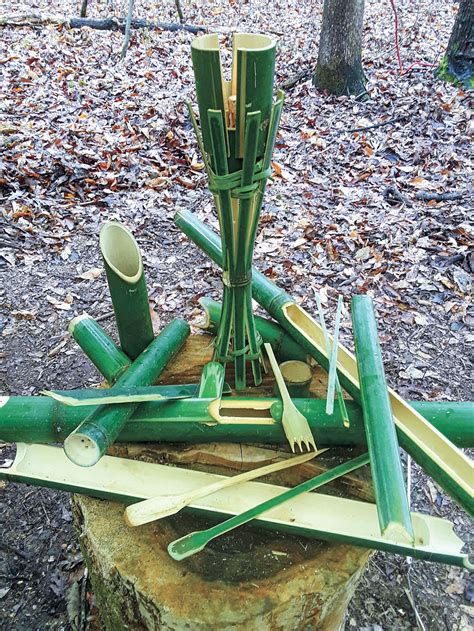 The Swiss-Army Shoot: 5 Survival Uses for Bamboo - balustradellc