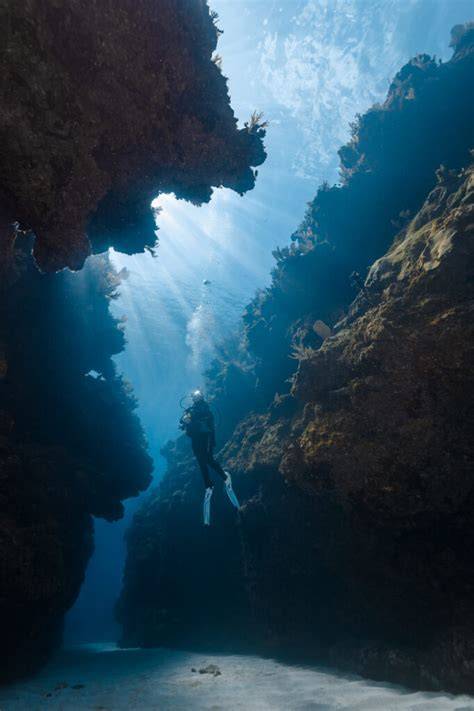 The Symphony of Submerged Aesthetics: Underwater Photography as a ... - raincitystudios.com