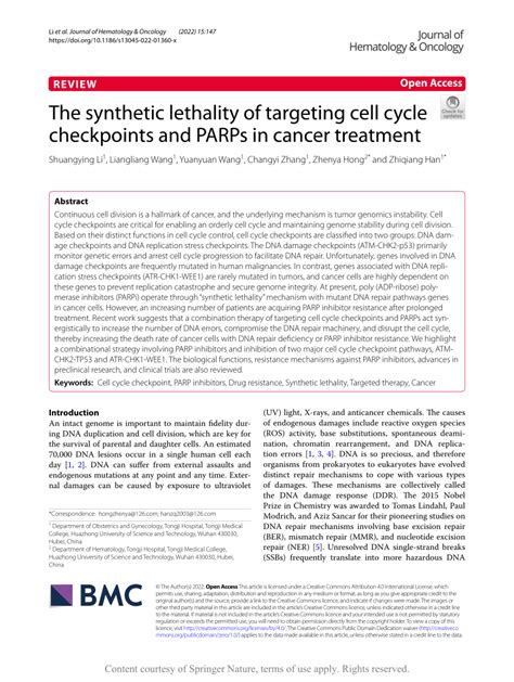The synthetic lethality of targeting cell cycle checkpoints and PARPs ... - muktibox.com